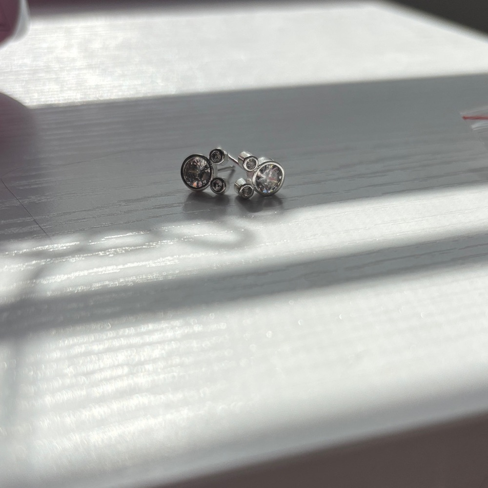 Elegant Silver Stud Earrings